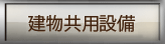 pݔ