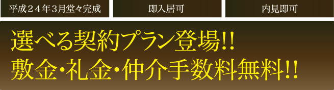 4̂Ɍ蒇萔zI